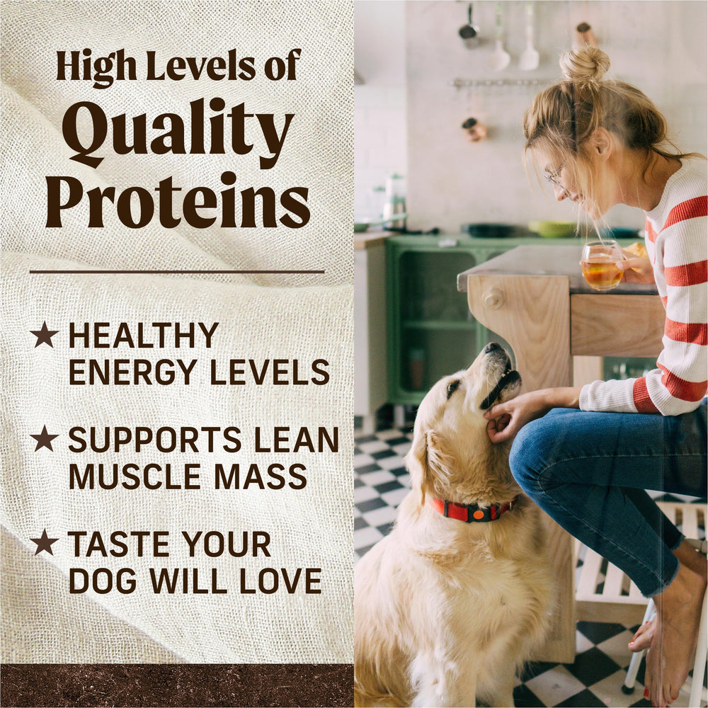 Merrick grain-free formula without corn, wheat, soy or additives.