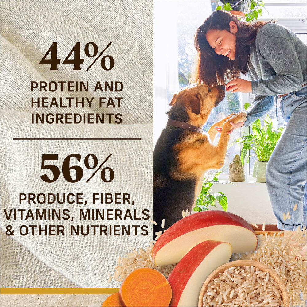 Merrick Healthy Grains potato-free recipe image emphasizing clean nutrition.