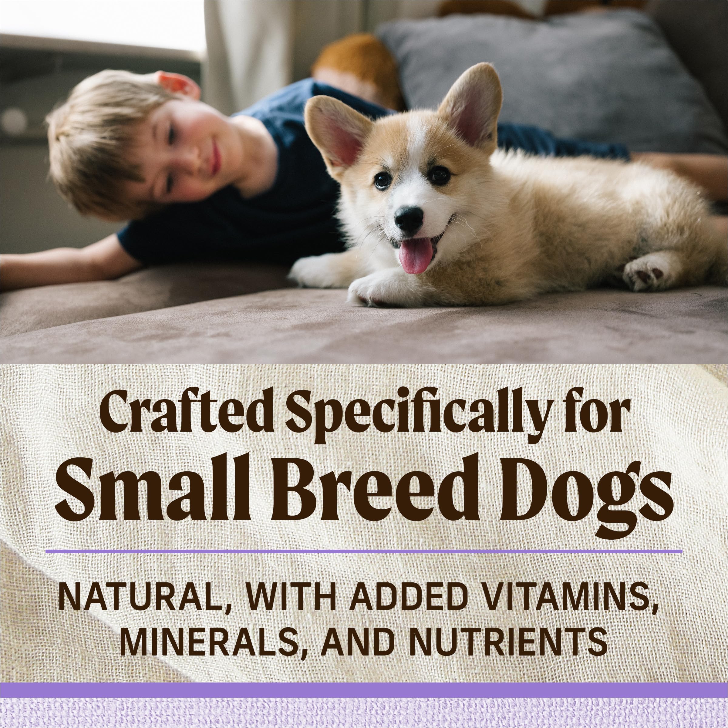 Merrick Lil’ Plates sweet potato puppy meal provides grain-free nutrition for small dogs.