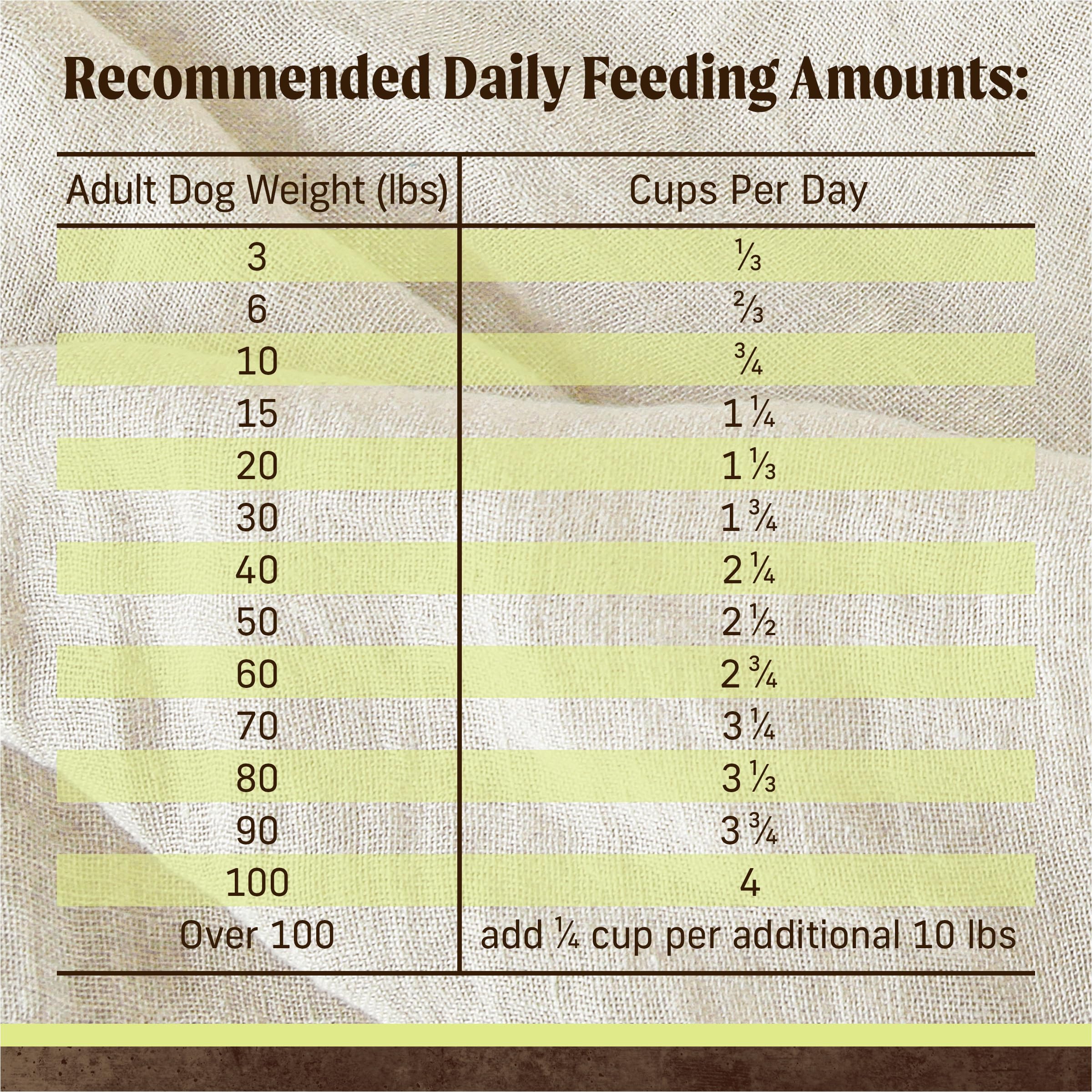 Kibble close-up illustrating omega fatty acids for healthy skin and coat with Merrick.