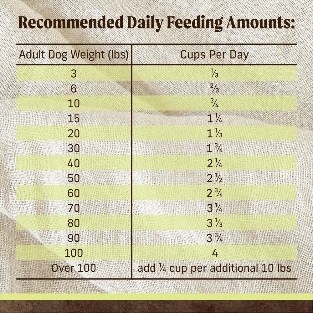 Kibble close-up illustrating omega fatty acids for healthy skin and coat with Merrick.