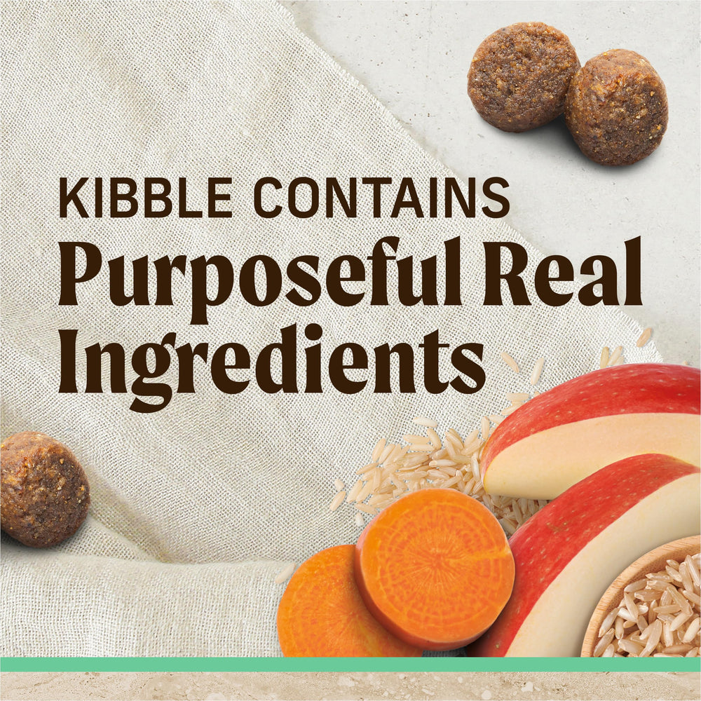 Merrick Potato-free recipe shown on bag label.