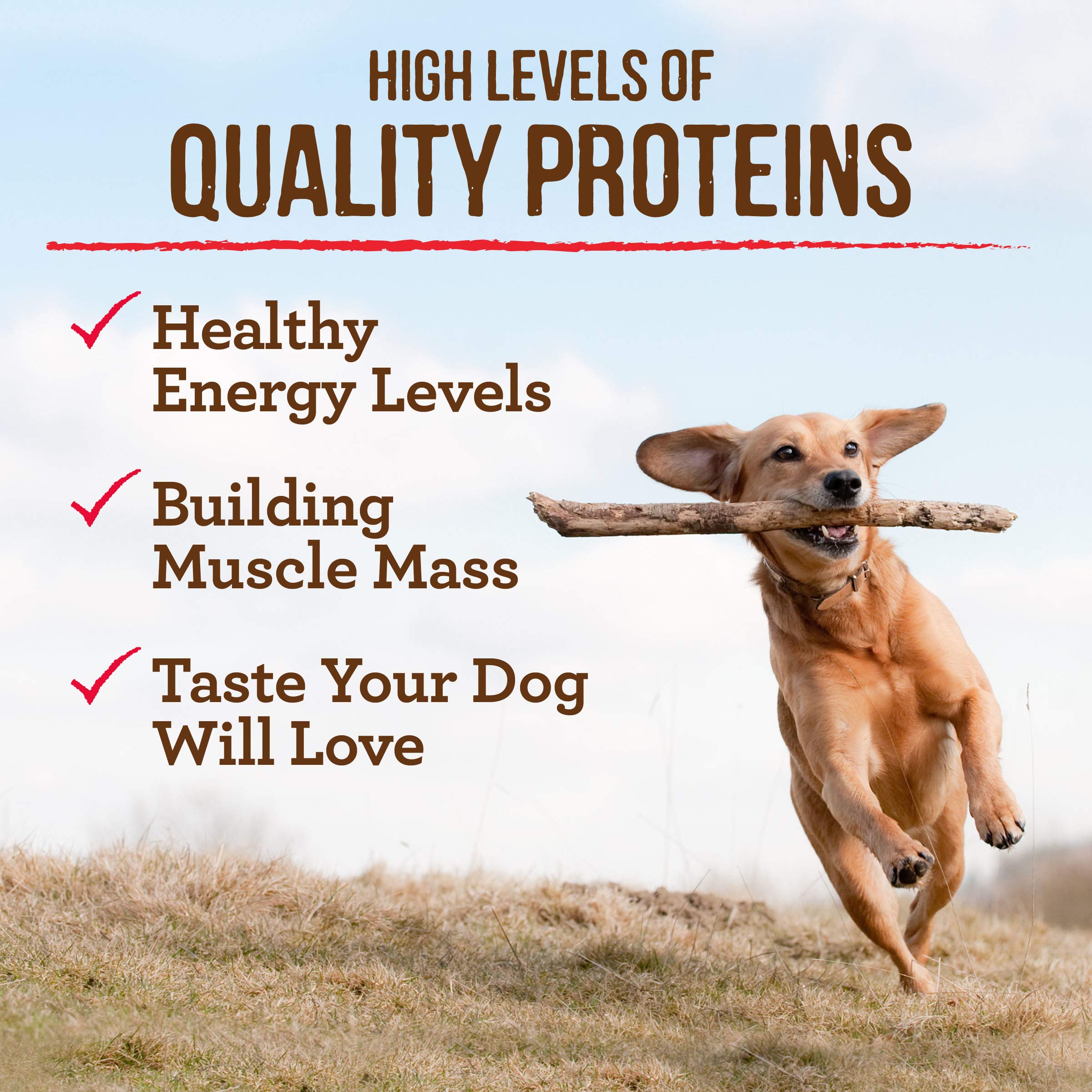Merrick Premium Grain Free dog food serving bowl scene