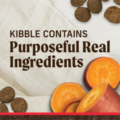 Merrick Premium Grain Free kibble close-up highlights real beef and sweet potato