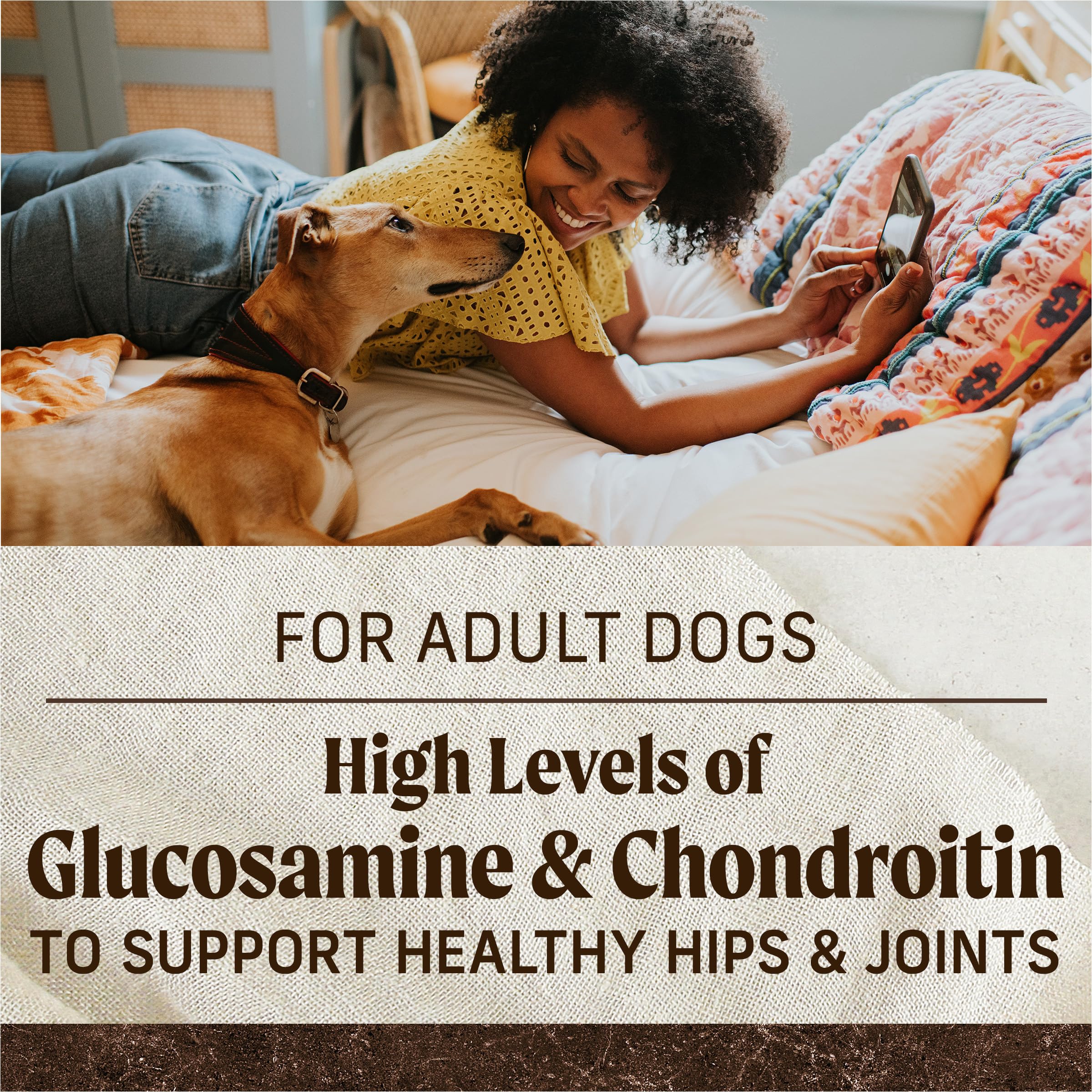 Lean protein balance supports active dogs during play and training