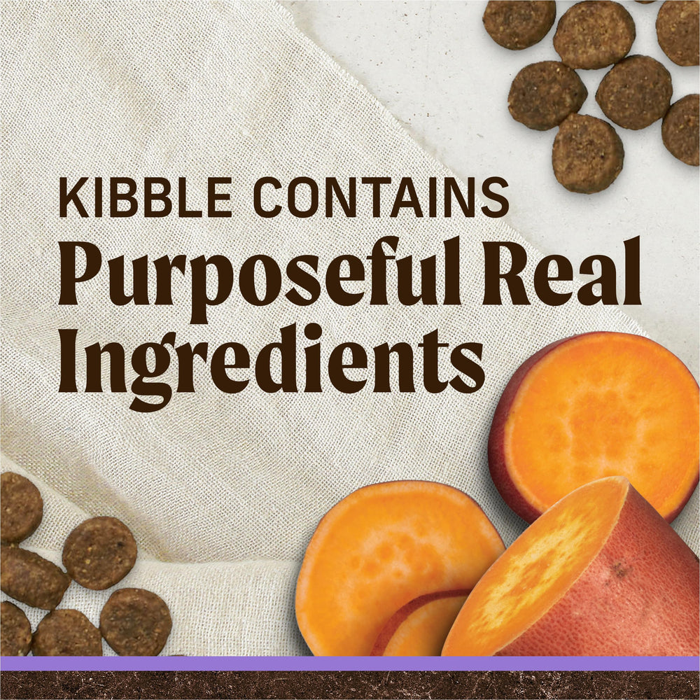 Merrick Premium Grain Free Puppy Food sweet potato bites promote energy and palatability
