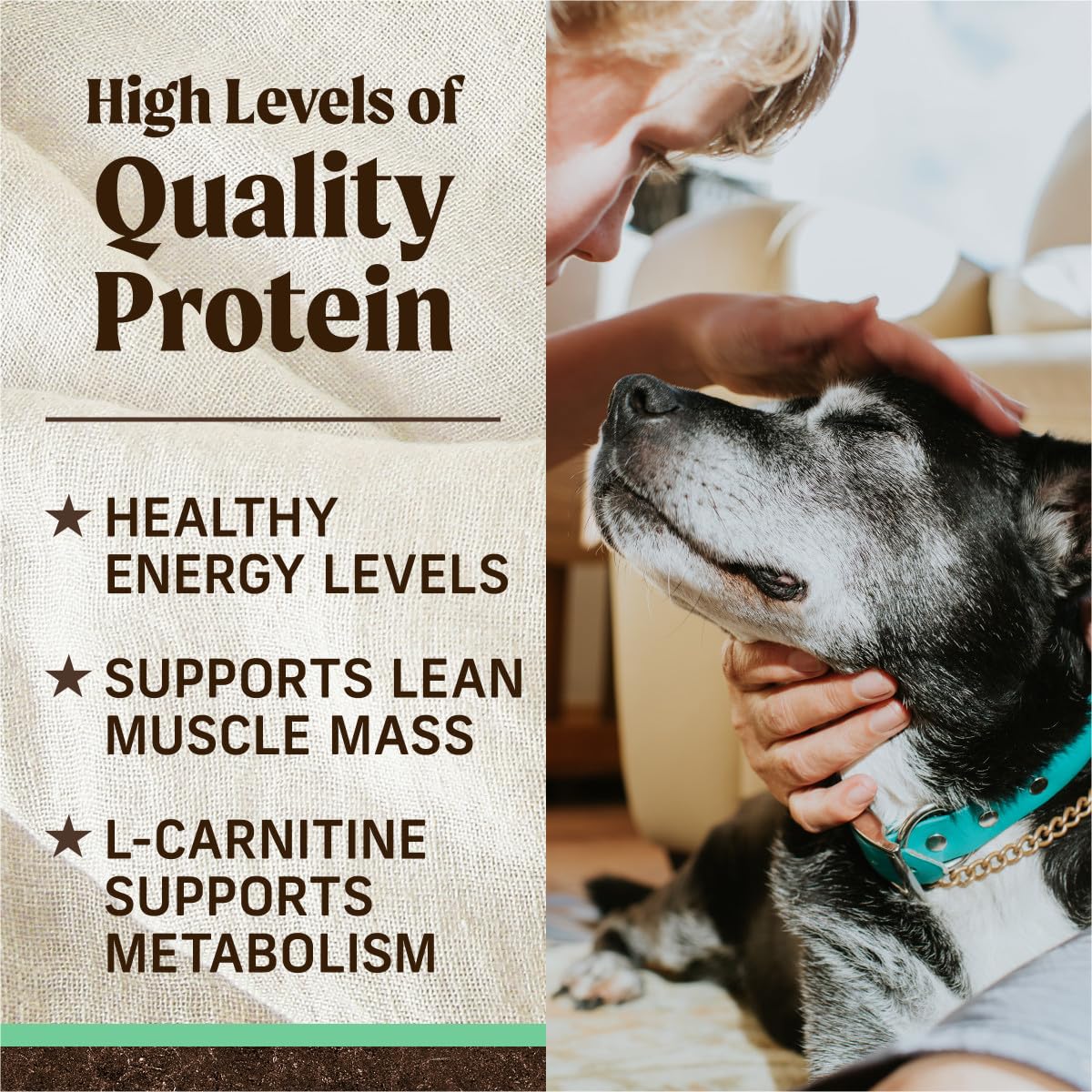 Merrick senior recipe includes glucosamine and chondroitin for joint support
