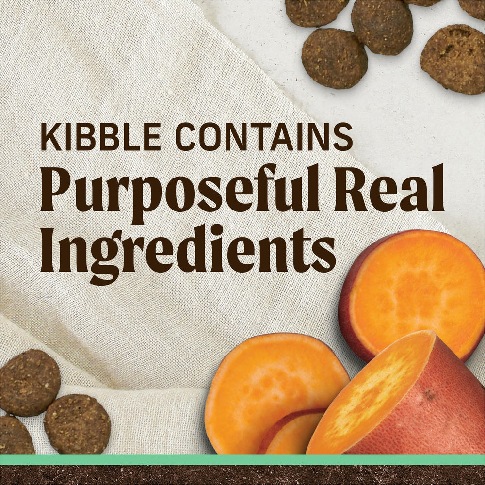Merrick senior kibble close-up showing grain-free texture and real ingredients for digestion-friendly meals