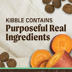 Merrick senior kibble close-up showing grain-free texture and real ingredients for digestion-friendly meals