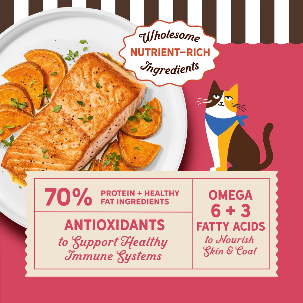 Merrick Purrfect Bistro bowl-kibble highlights crunchy texture supporting muscles.