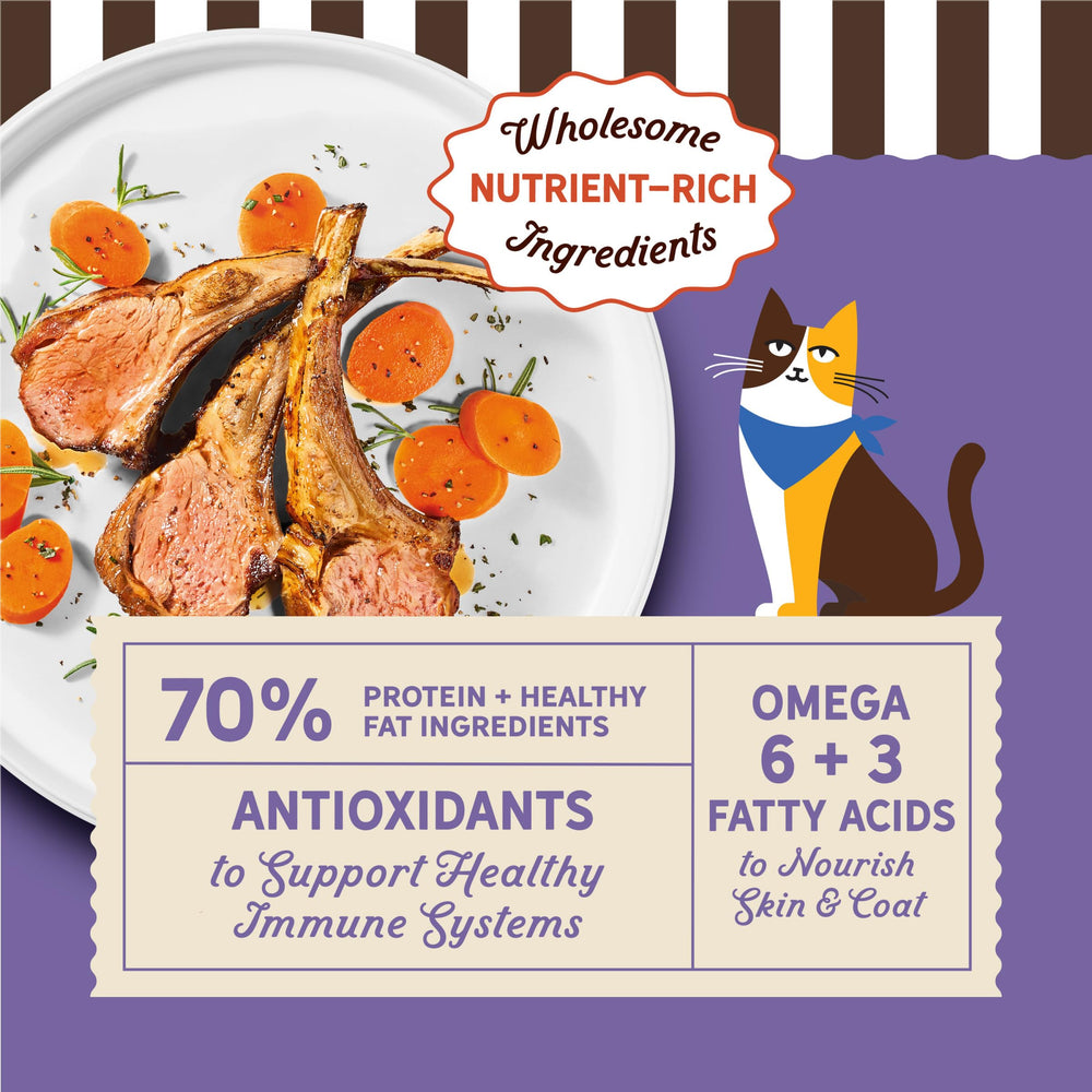 Close-up of grain-free kibble in bowl highlighting first ingredient lamb.
