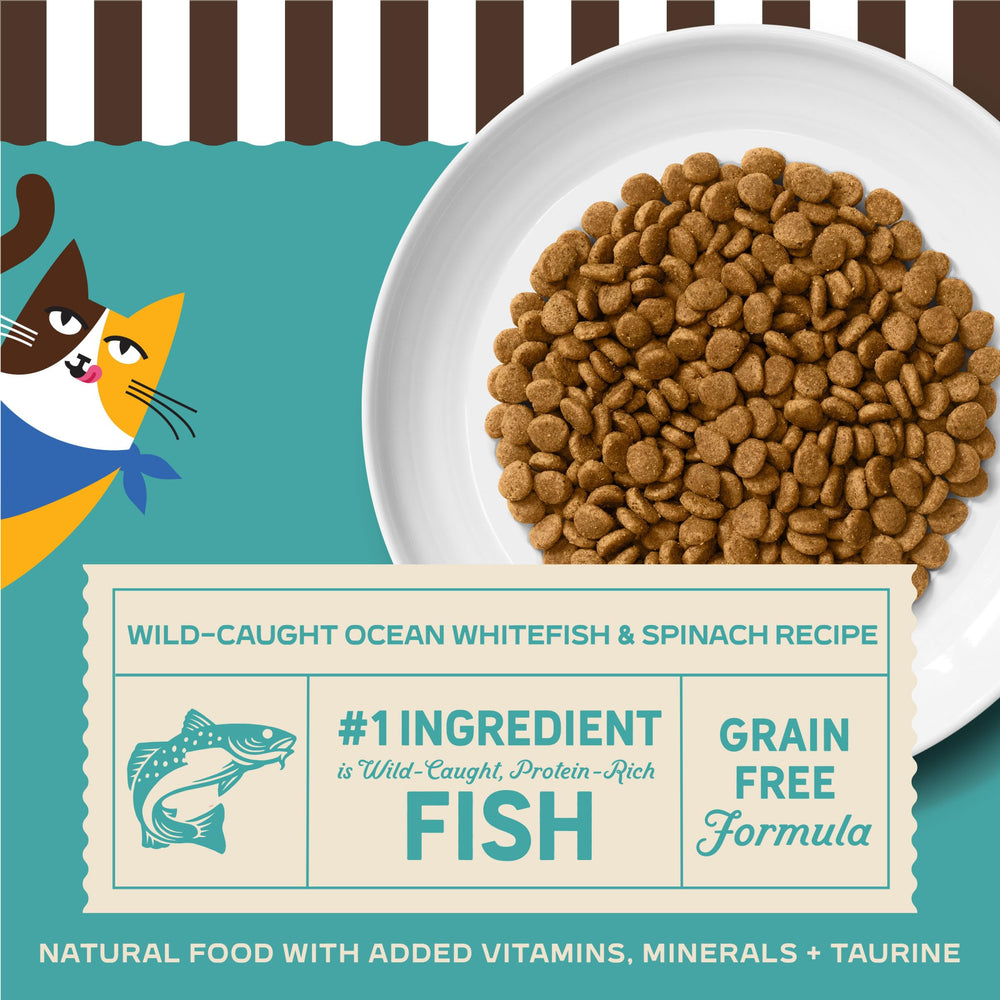 Merrick Purrfect Bistro meal setup for indoor or outdoor cats.