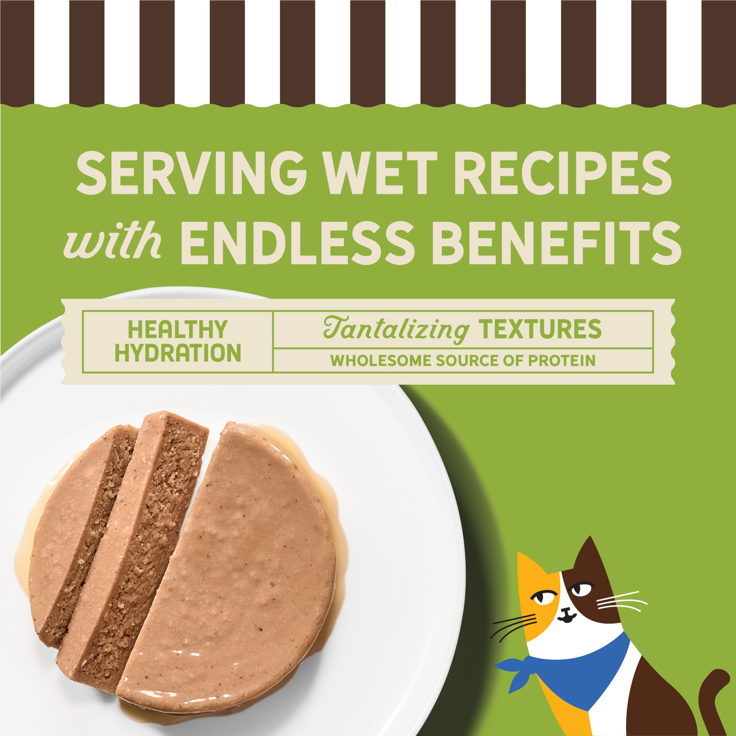 Merrick Purrfect Bistro turkey pate served in bowl for picky eaters