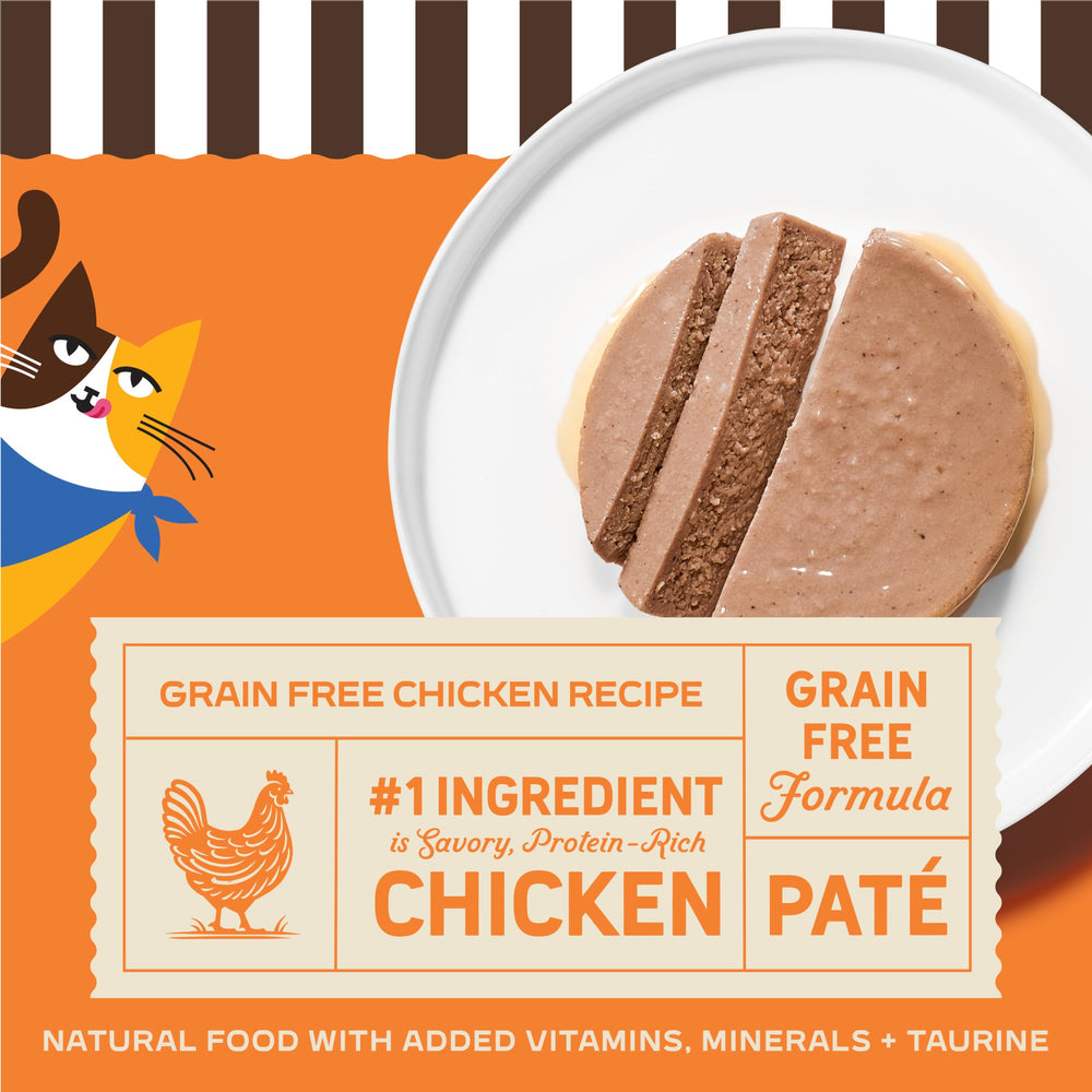 Smooth pate texture close-up appealing to picky indoor cats