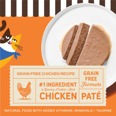 Smooth pate texture close-up appealing to picky indoor cats