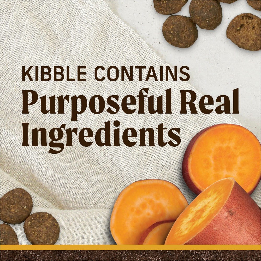 Merrick Real Deboned Beef first-ingredient kibble for protein-rich bites.