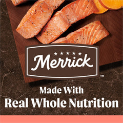 Close-up of real deboned salmon in Merrick kibble for adult dogs.