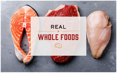 Close-up of real deboned turkey as first ingredient in Merrick recipe