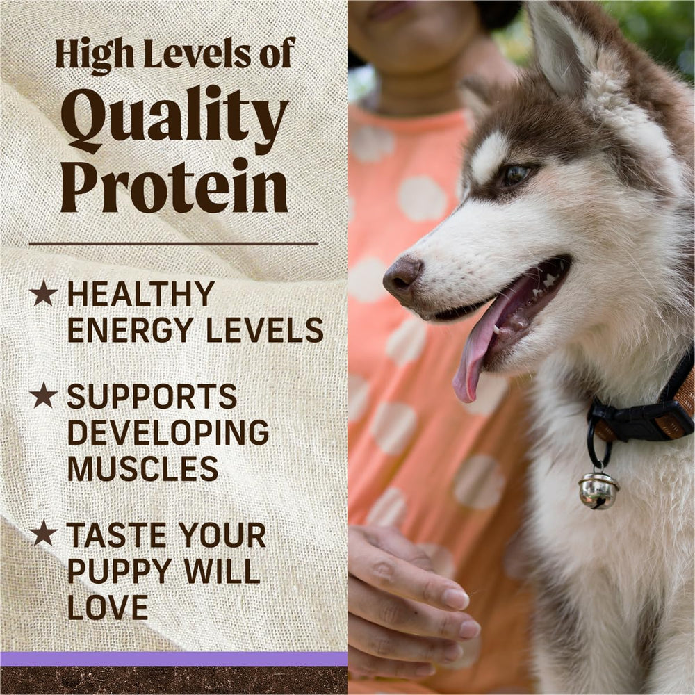 Merrick small kibble size ideal for puppies close-up