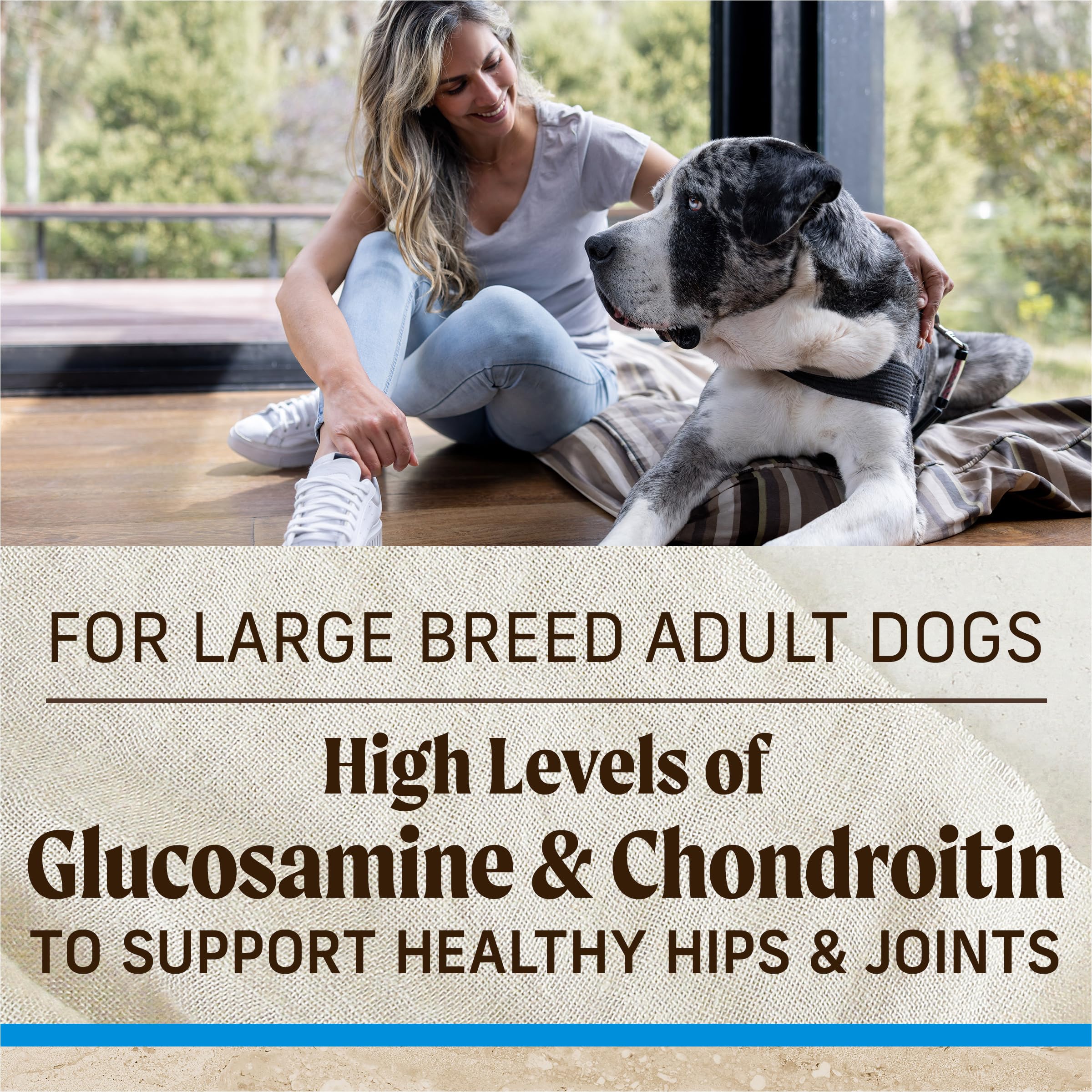 Merrick Wholesome Grains Recipe for balanced nutrition in large breeds