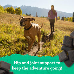 Zuke’s hip and joint treats with real peanut butter entice dogs during training sessions.