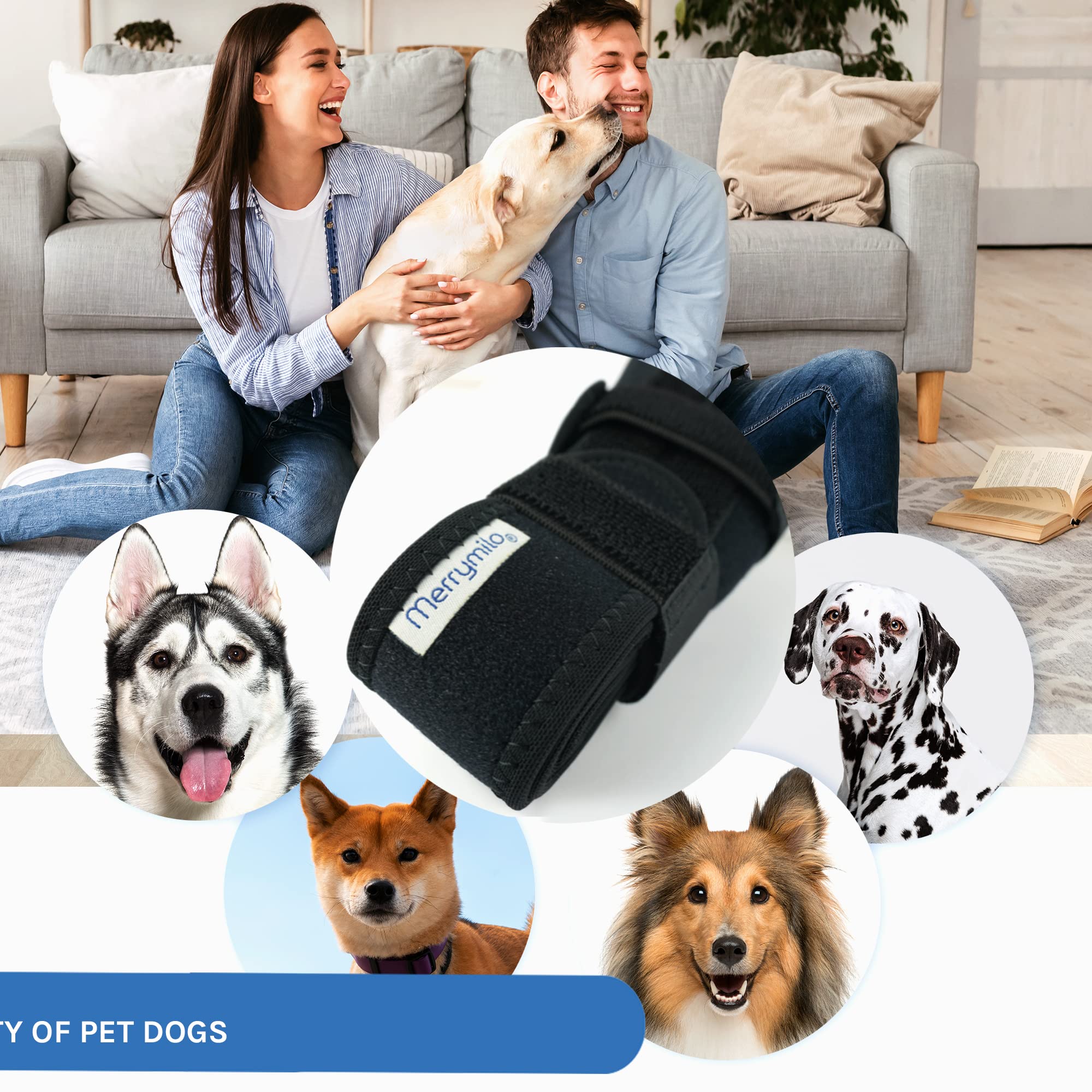MerryMilo dog knee brace on model demonstrates full coverage for hind leg support.