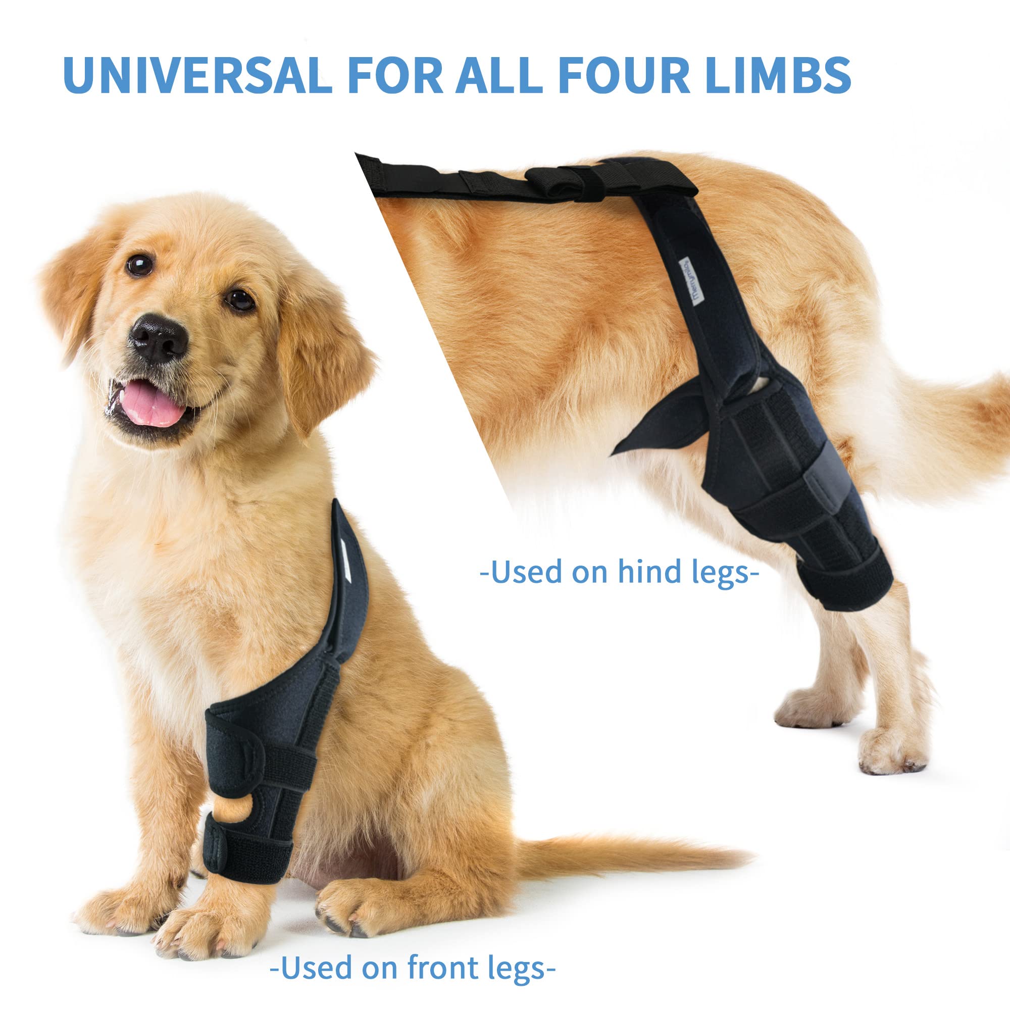 MerryMilo dog knee brace in use during outdoor play, promotes confidence and movement.