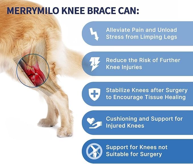 MerryMilo dog knee brace side view shows secure adjustable straps for reliable daily wear.