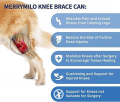 MerryMilo dog knee brace side view shows secure adjustable straps for reliable daily wear.