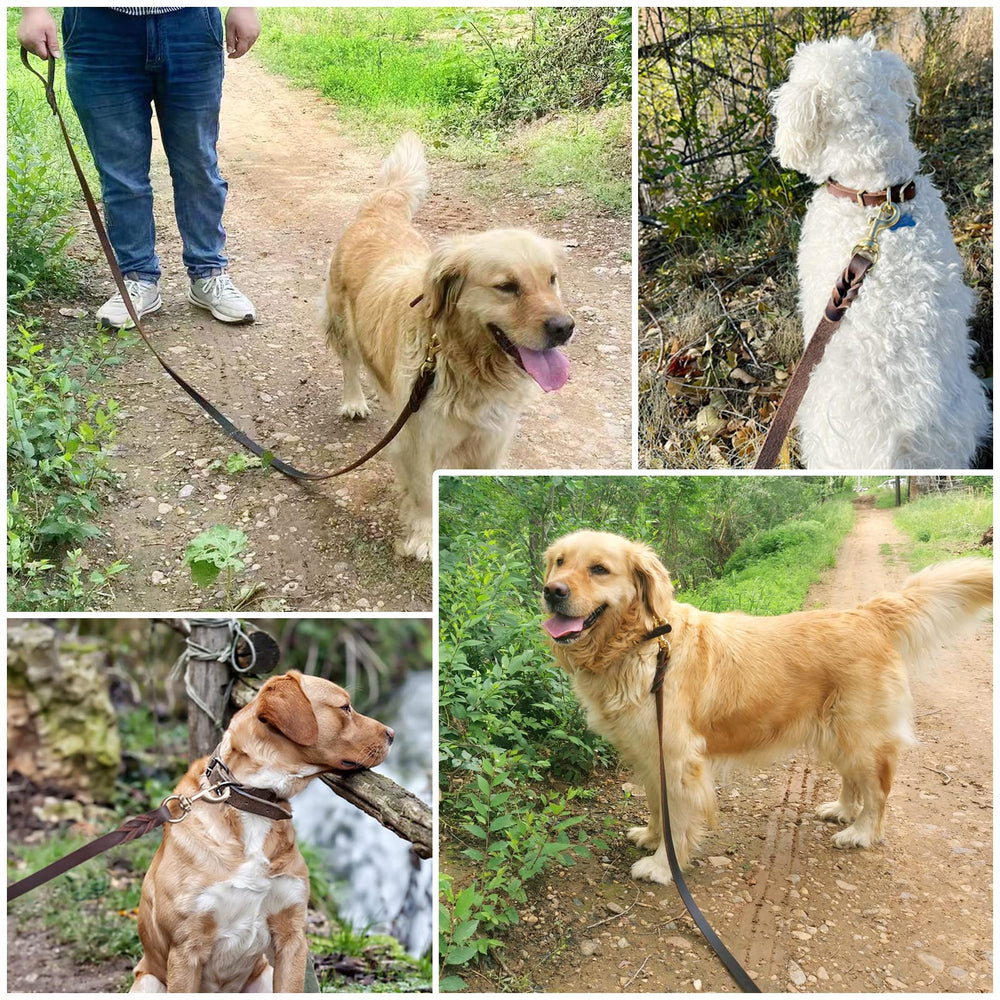 Meruogkar soft-grip leash enhances comfort during daily dog outings.