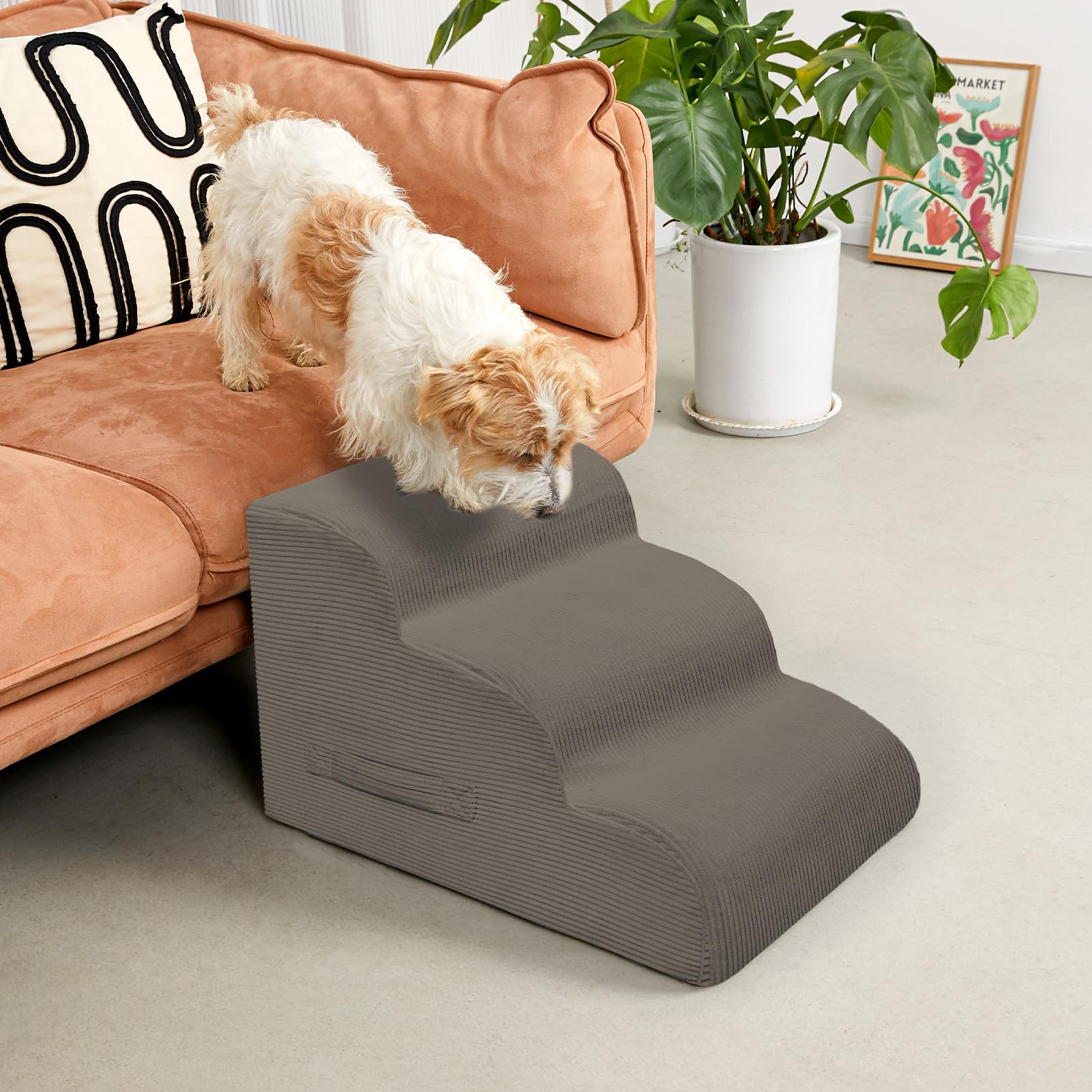 Mesa Lemon dog steps on sofa helping small dogs climb safely