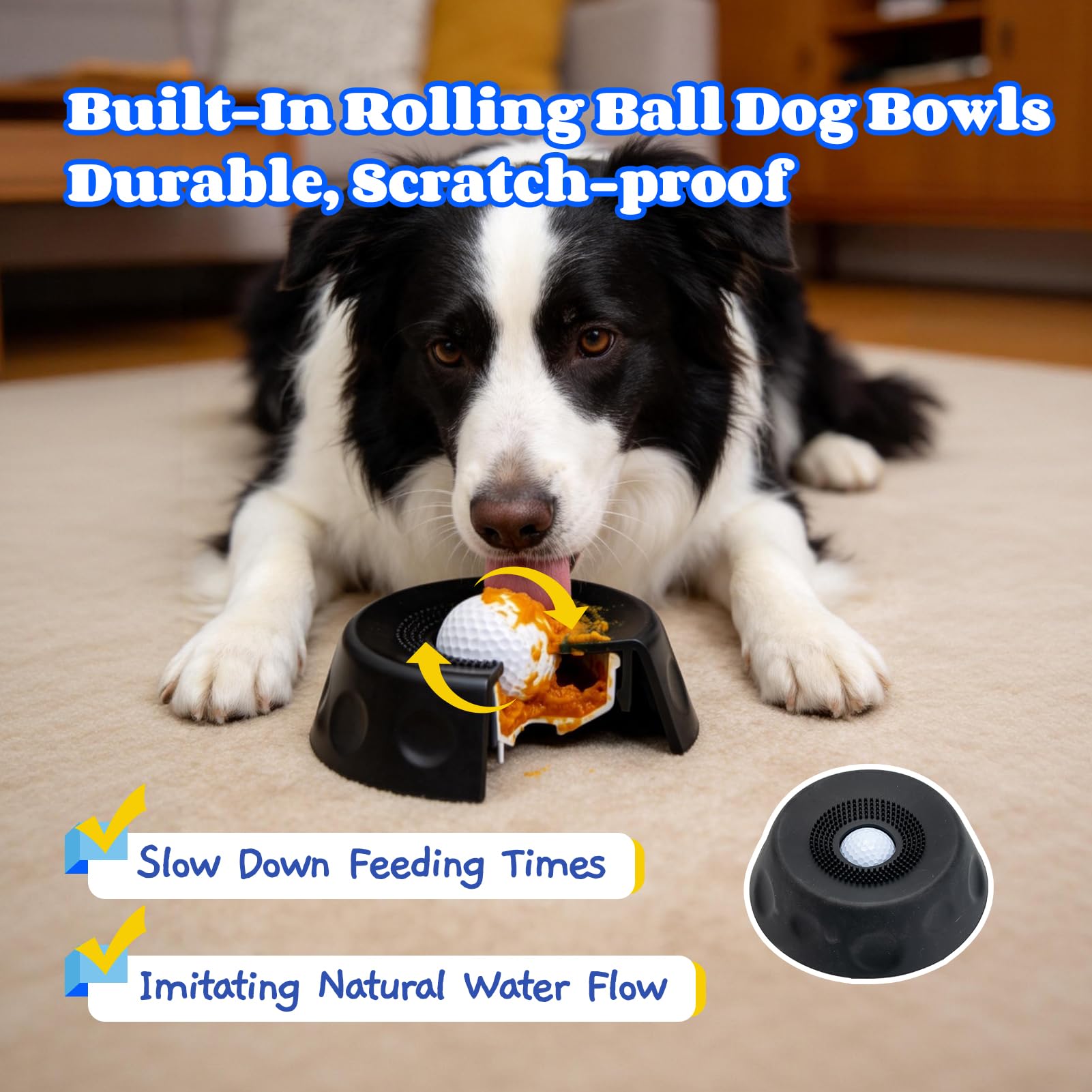 Mesiiloly bowl aids large breeds during mealtime, supports post-op nutrition.