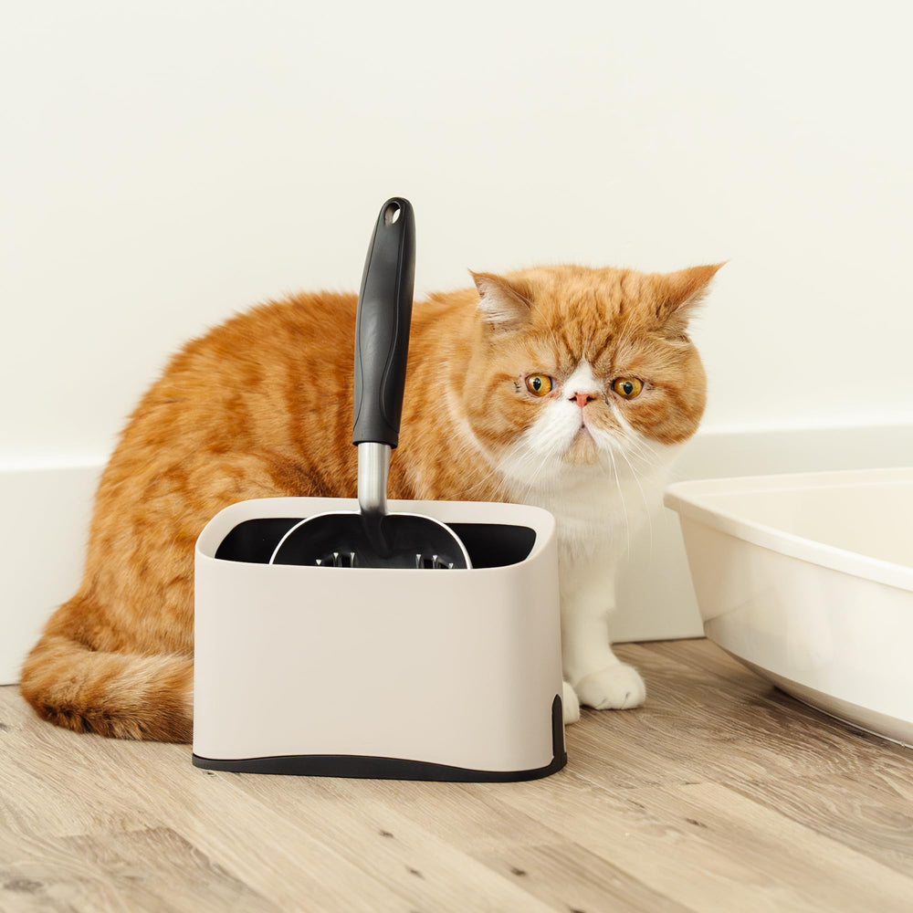 Mess & Matter multi-cat solution helps busy households stay tidy.