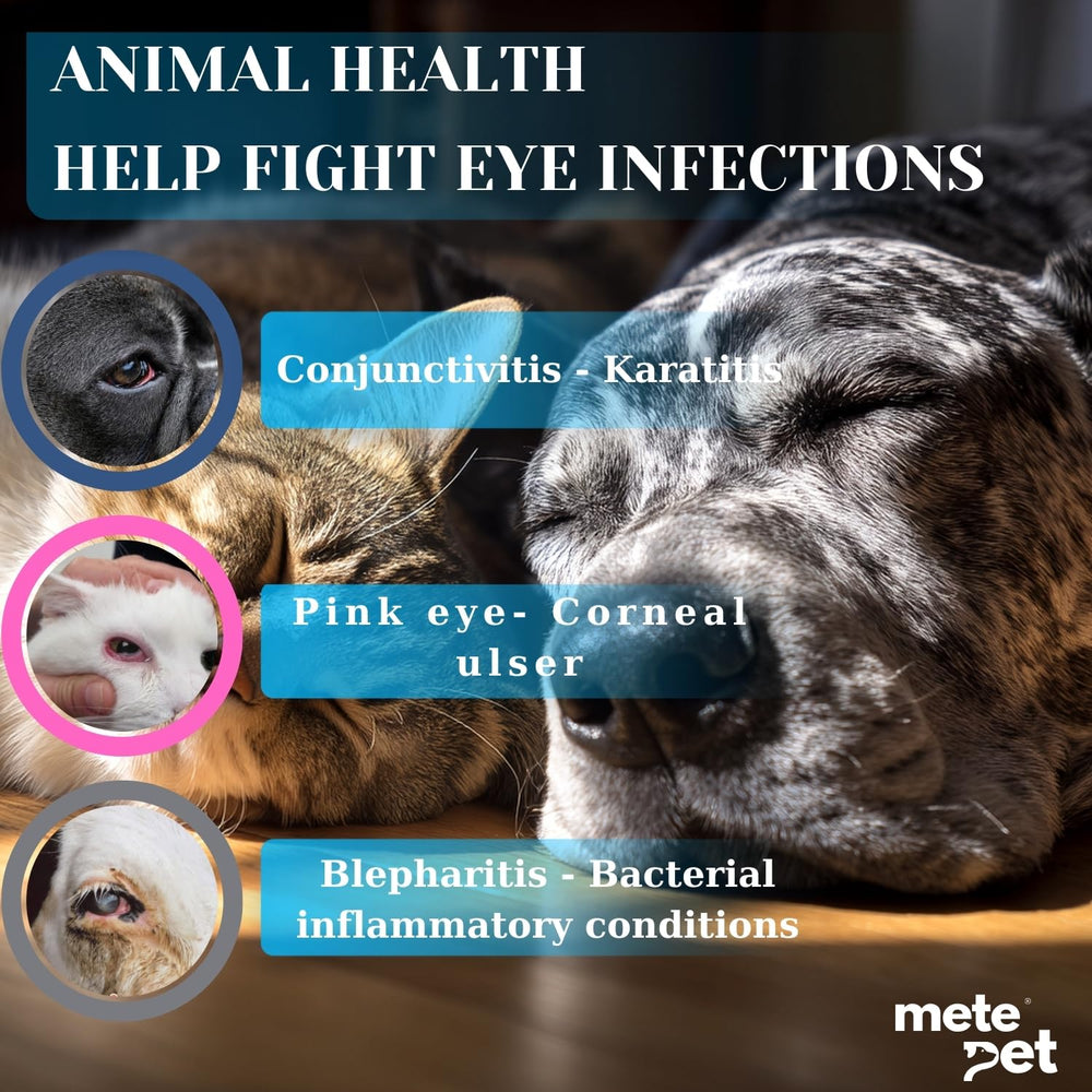 METEPET Vetromycin easy application ointment shown for hassle-free daily care.