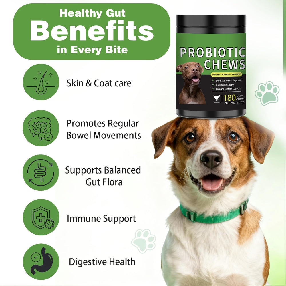 Meukgag Probiotics for Dogs chews close-up showing soft texture and chicken flavor