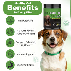 Meukgag Probiotics for Dogs chews close-up showing soft texture and chicken flavor
