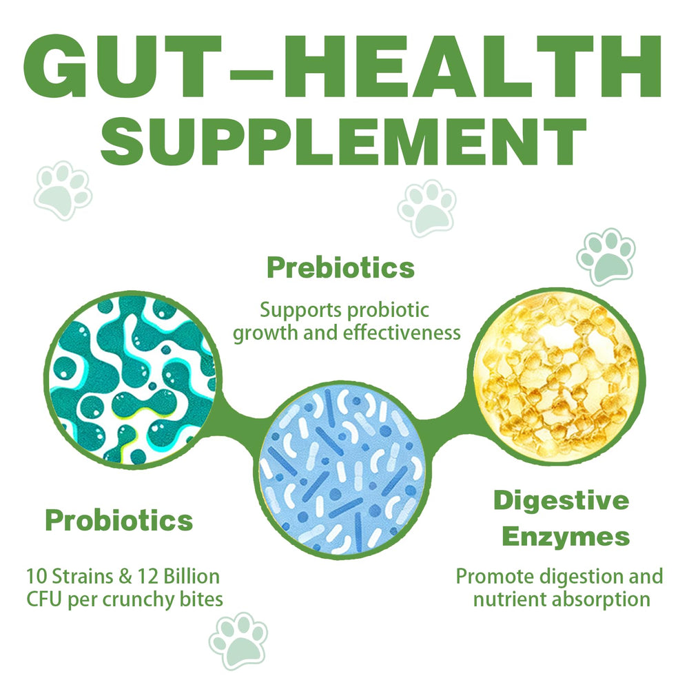 Meukgag Probiotics for Dogs enzymes visual illustrating digestive enzymes at work