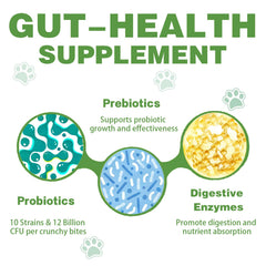 Meukgag Probiotics for Dogs enzymes visual illustrating digestive enzymes at work