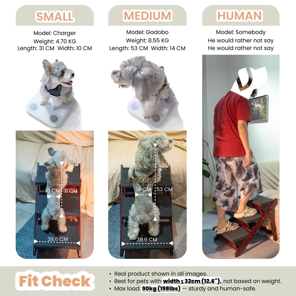 MEWANG four-step option supports small to medium pets.
