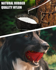 Mewlmart Giggle Ball tested for aggressive chewers by dogs.