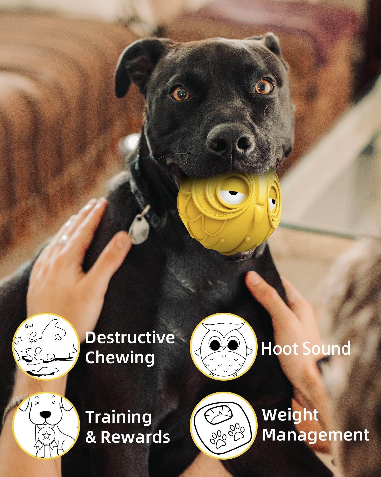 Versatile Giggle Ball suitable for medium and large dogs during indoor or outdoor play.