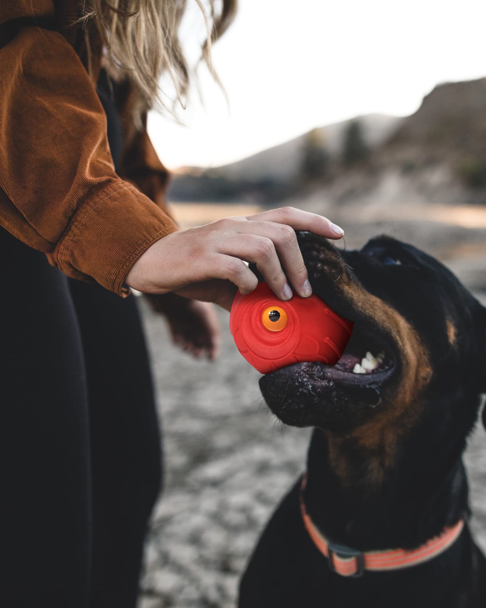 Mewlmart Giggle Ball safe for medium to large breeds during play.