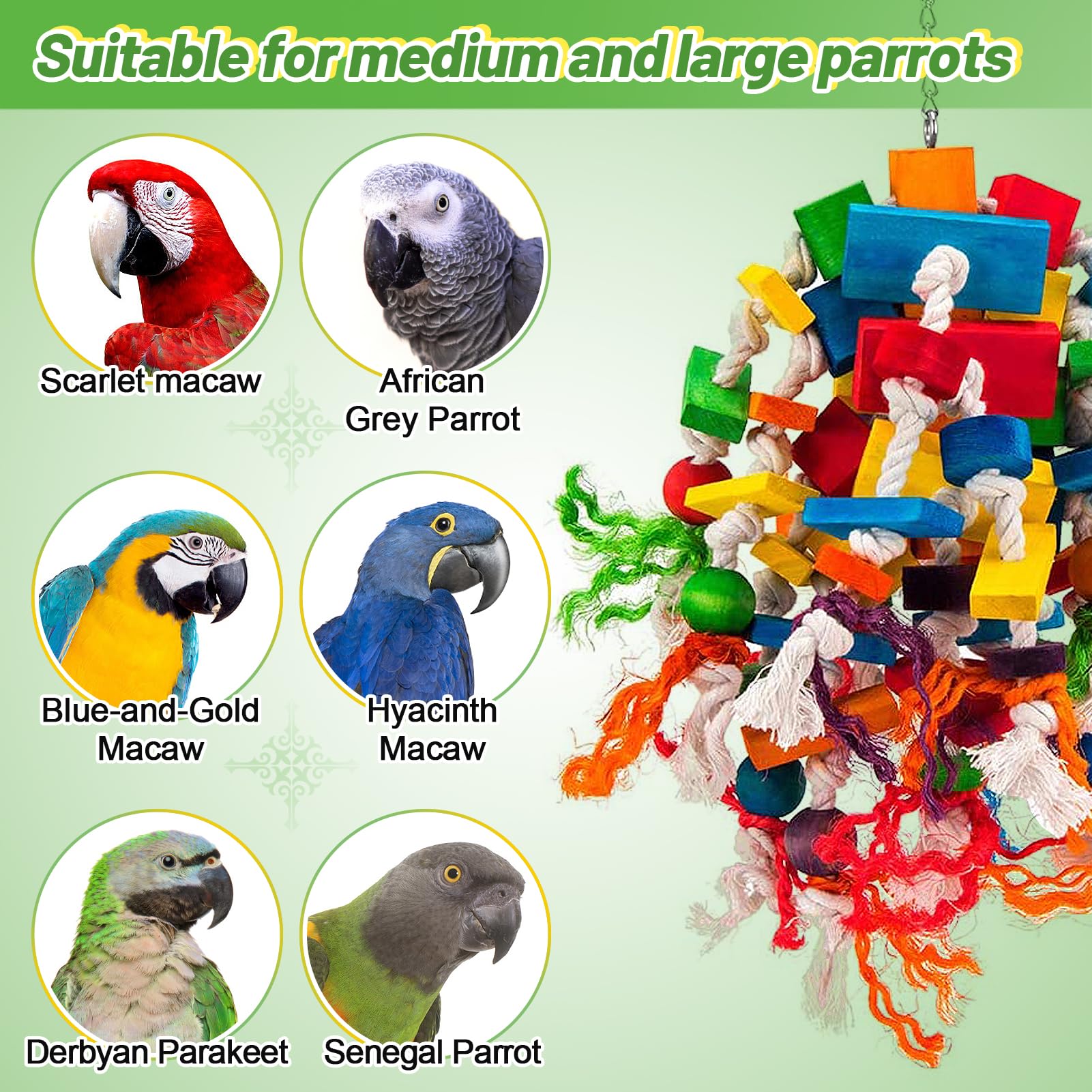 Colorful MEWTOGO wood blocks providing mental stimulation for parrots