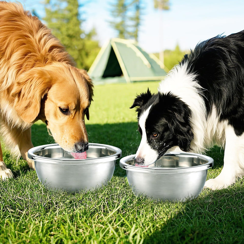 MEWTOGO ergonomic stainless bowls for comfy tongue contact during meals