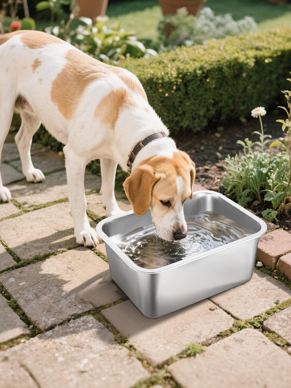 MEWTOGO indoor outdoor stainless steel bowl in use.