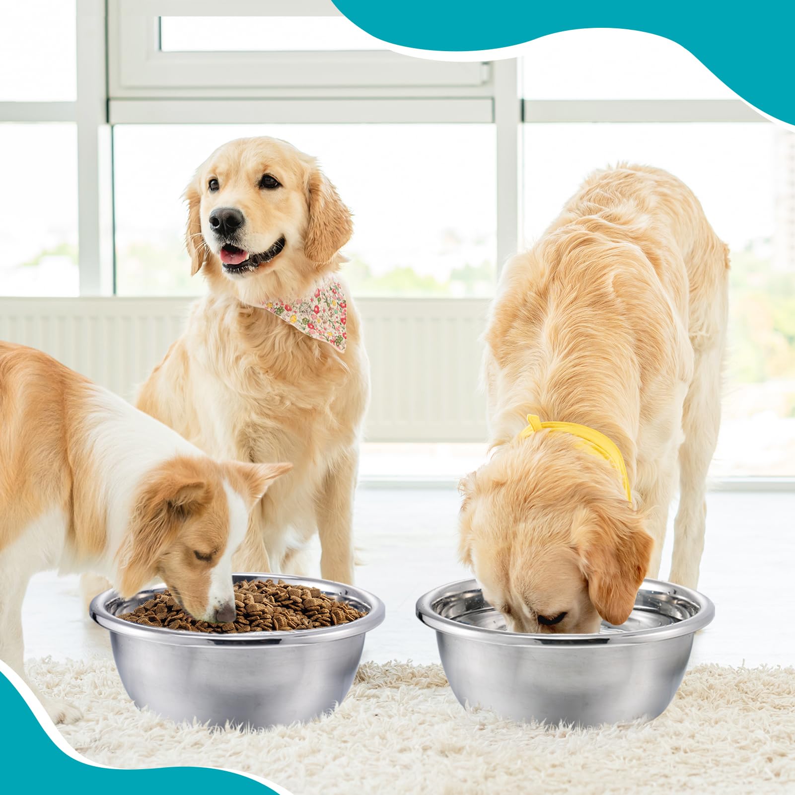 MEWTOGO two bowls support sharing water for multiple dogs.