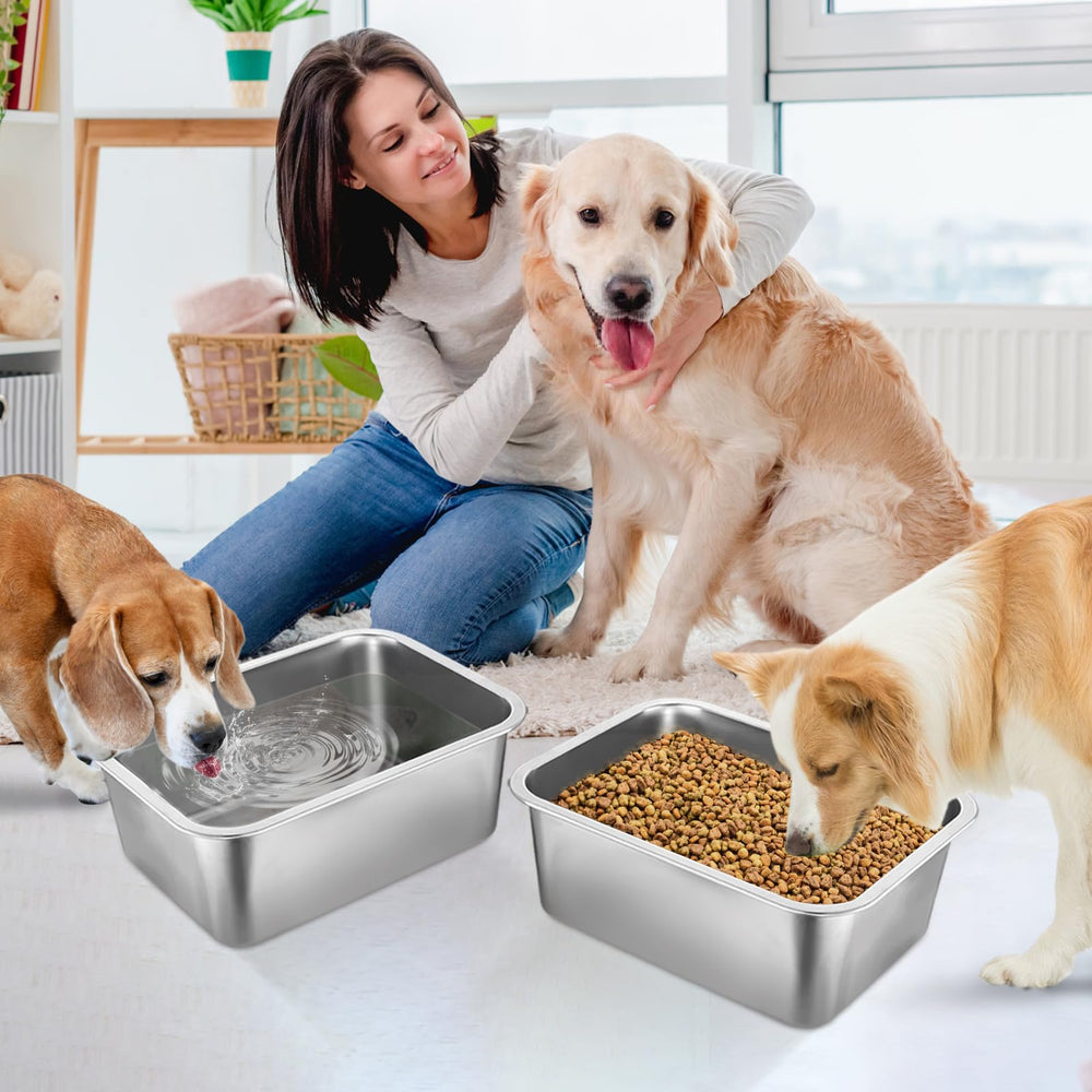 MEWTOGO non-slip base keeps the bowl steady during playful moments