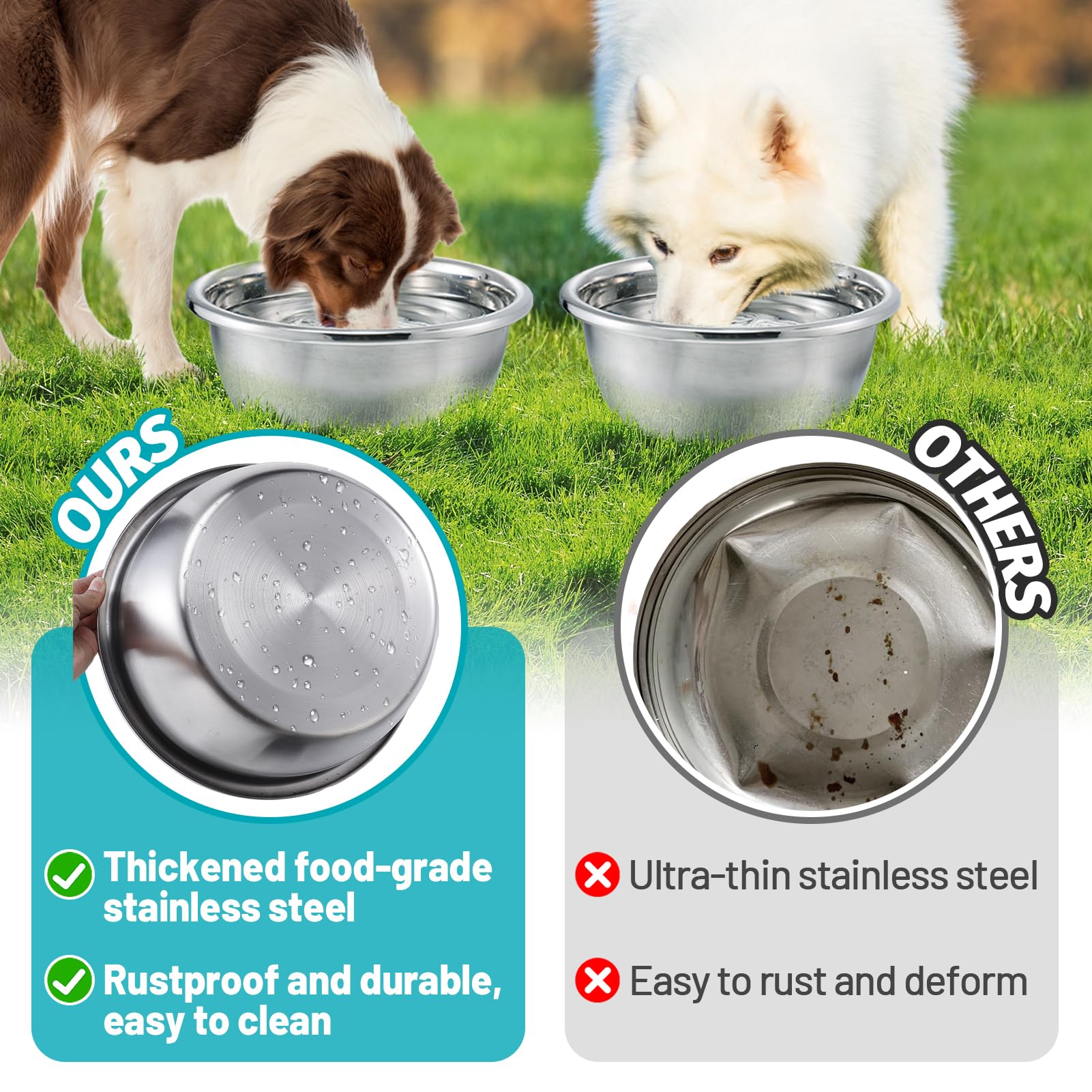 MEWTOGO wide-opening design allows easy drinking from two bowls.