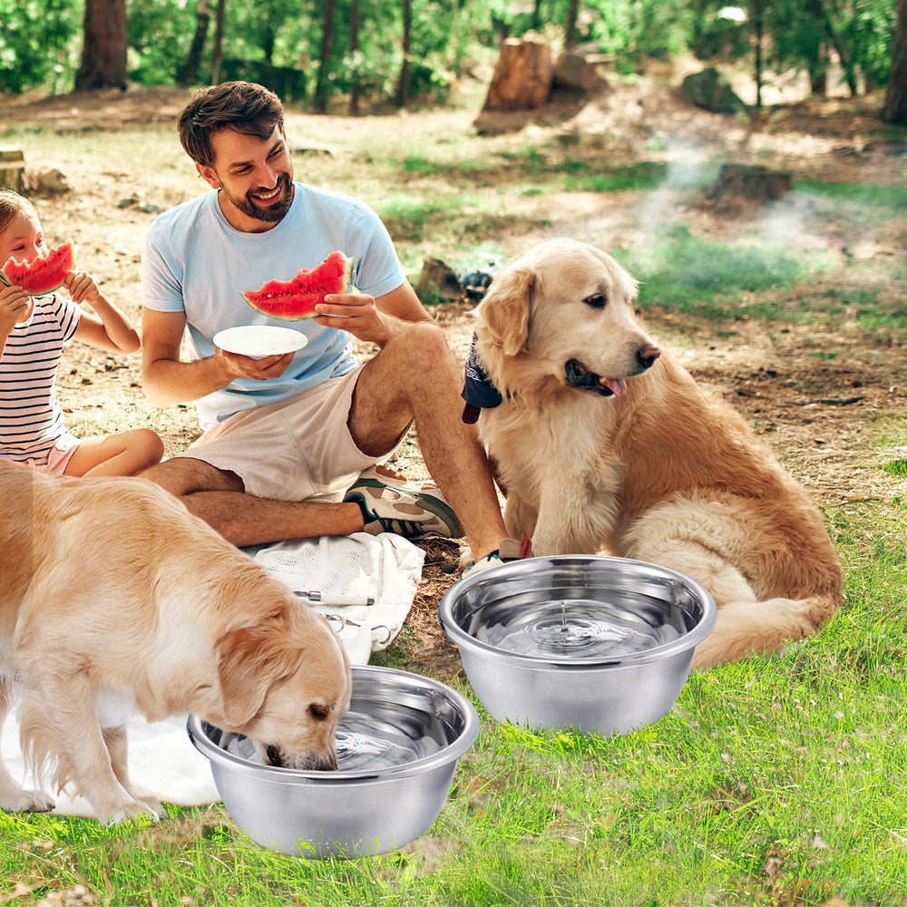MEWTOGO 1.3-gallon capacity keeps pets hydrated on hot days.