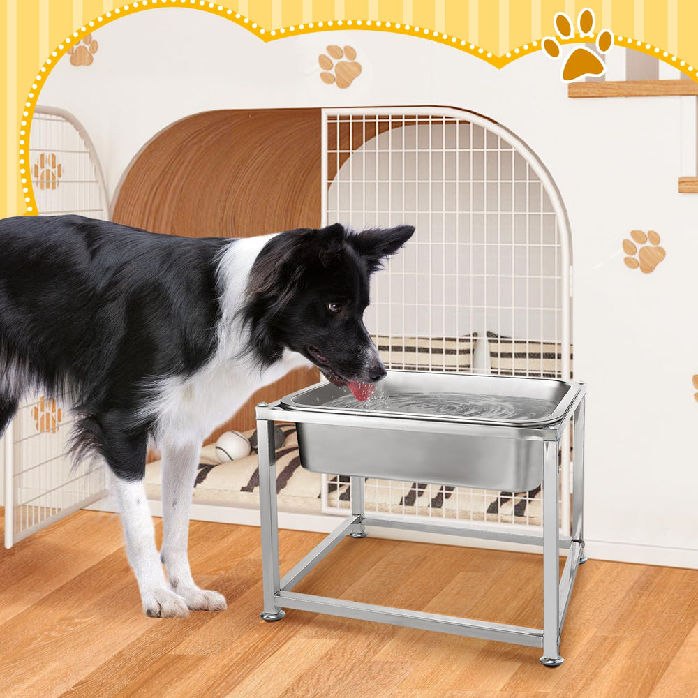 MEWTOGO sturdy stand prevents tipping for calm dining sessions.